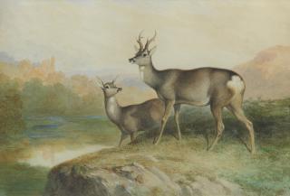 James William Giles - My Heart\'s in the Highlands - A roe deer buck and hind