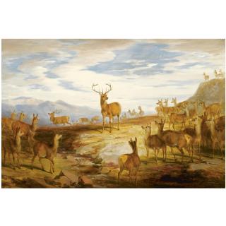 James William Giles - The Triumphant Stag