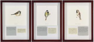 Jamie Shovlin - (i) Coat Tit(ii) Great Tit(iii) House Sparrow