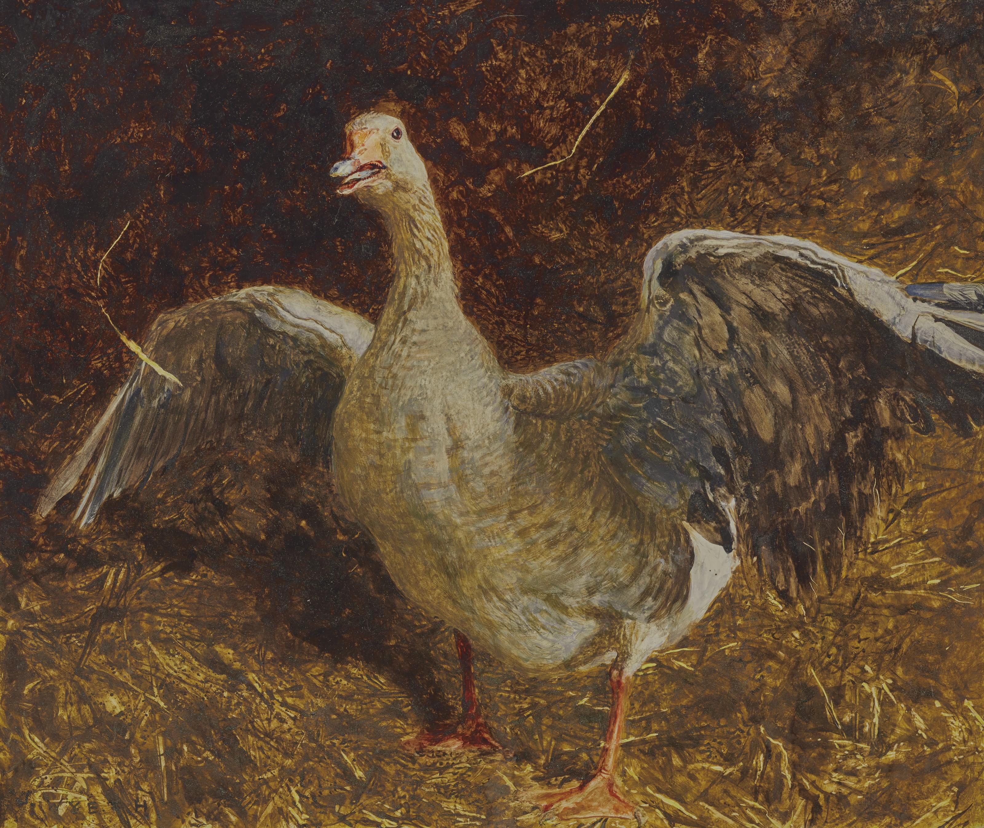 Jamie Wyeth - Angry Gander