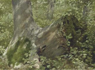 Jamie Wyeth - Engulfed