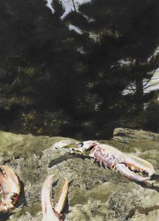 Jamie Wyeth - Feeding Ledge