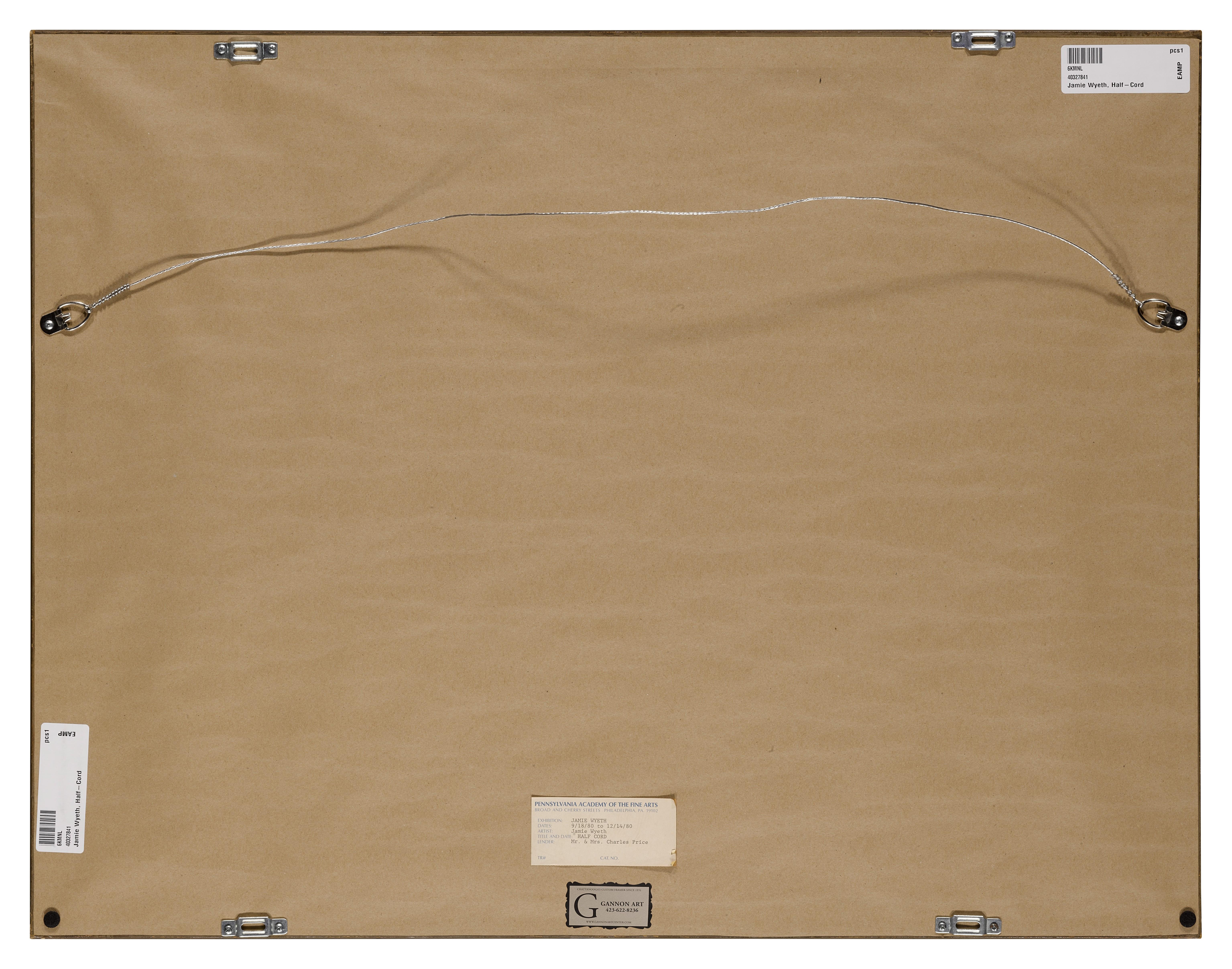 Jamie Wyeth - Half Cord