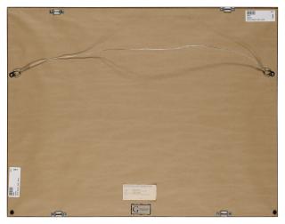 Jamie Wyeth - Half Cord