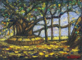 Jamini Roy - Untitled (Banyan Tree)