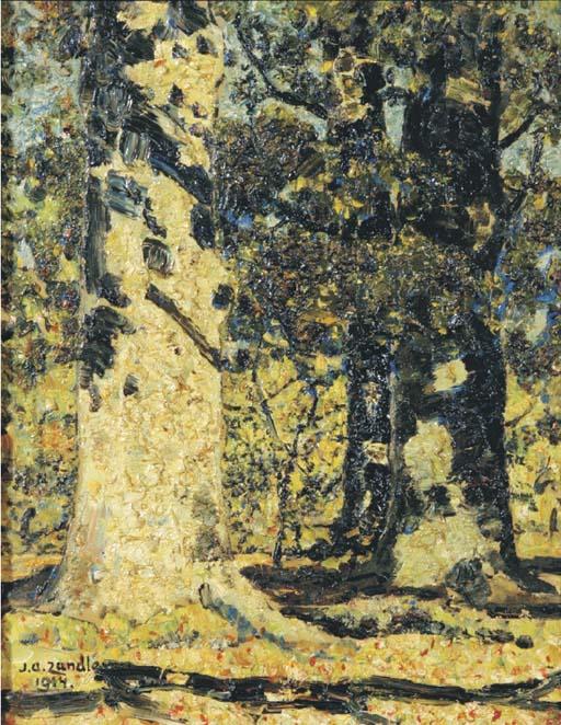 Jan Adam Zandleven - Witte Boom - White Tree