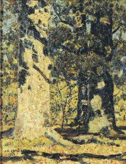 Jan Adam Zandleven - Witte Boom - White Tree