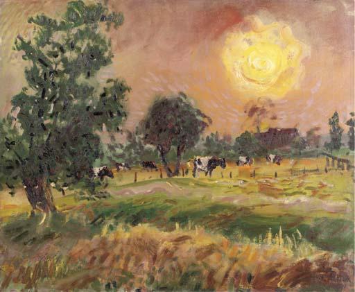 Jan Altink - Cows in the evening sun