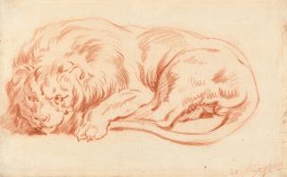 Jan Anton Garemyn - Löwenstudie