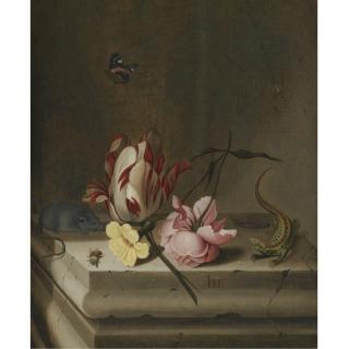 Jan Baptist Van Fornenburgh - Still Life With A Parrot Tulip, A Pink Rose, A Mouse, A Lizard And A Bee On A Stone Pedestal, With A Red Admiral And A Spider On Its Web Above