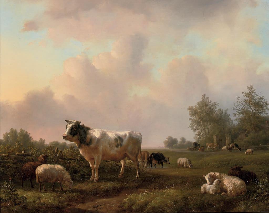 Jan Bedijs Tom - Cattle grazing in the pasture