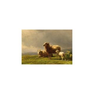 Jan Bedijs Tom - Sheep In A Meadow