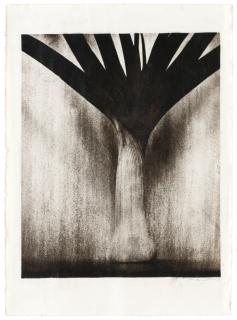 Jan Bengtsson - Utan titel