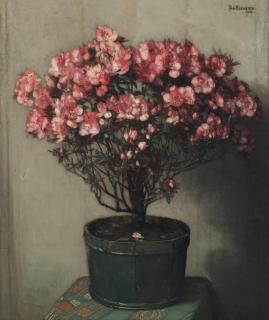 Jan Bogaerts - Pink azaleas
