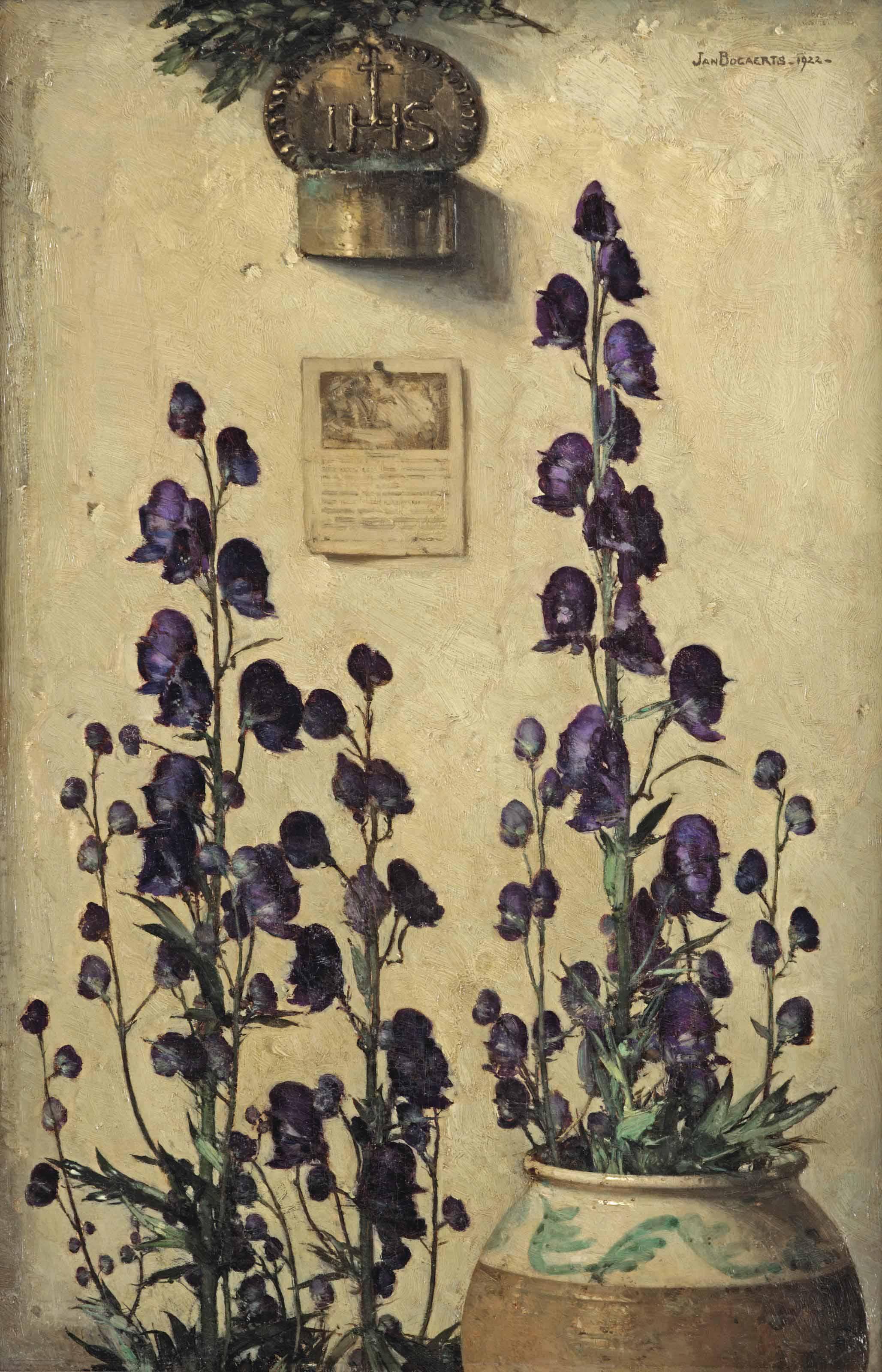 Jan Bogaerts - Purple Aconites