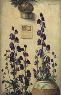 Jan Bogaerts - Purple Aconites