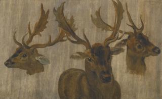 Jan Breughel the Younger - Studies Of A Stag