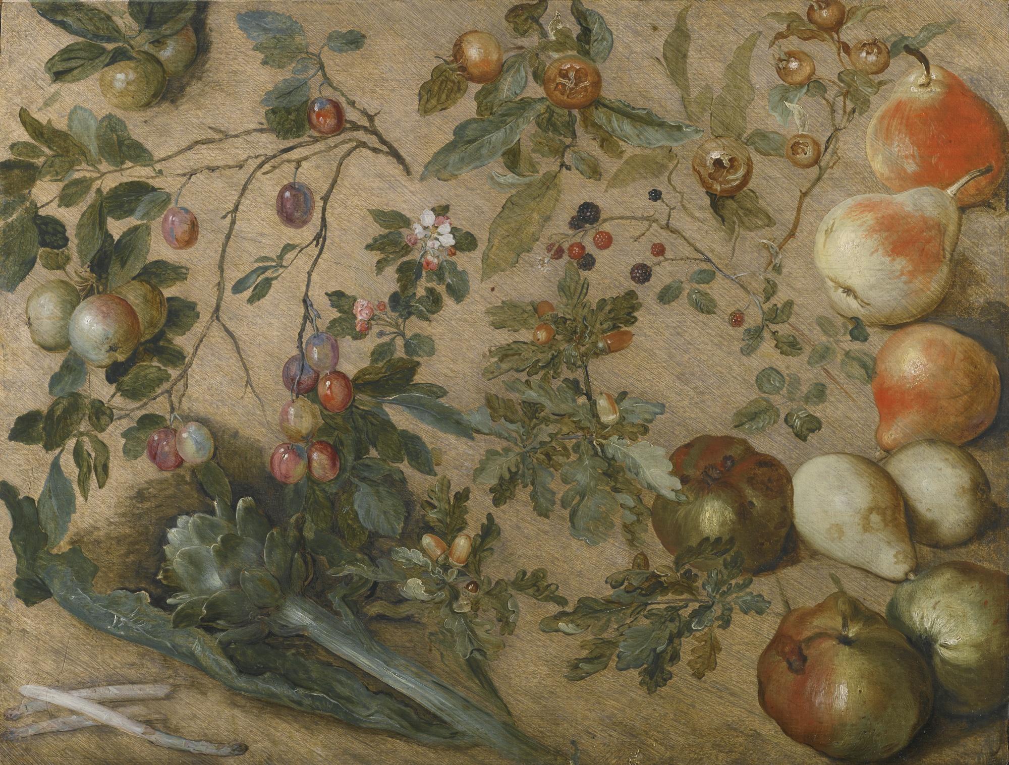Jan Brueghel The Elder - Studies Of Apples, Pears, Grapes, Blackberries, An Artichoke, Spears Of Asparagus And A Sprig Of Oak 
