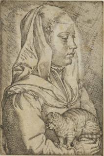 Jan Cornelisz. Vermeyen - The Woman With The Cat