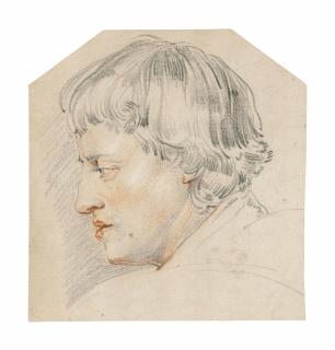 Jan Cossiers - The head of a young man, in profile to the left