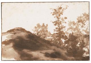 Jan De Bisschop - A Hillside And Trees, Near The Hague