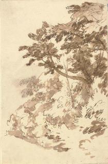 Jan de Bisschop - Trees and undergrowth