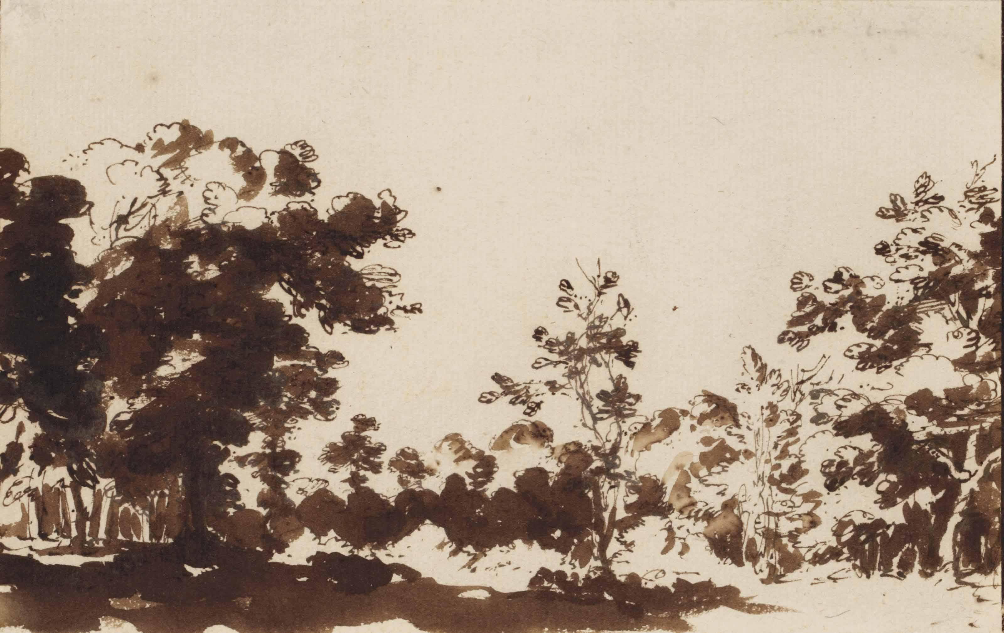 Jan De Bisschop - View of the woods at The Hague