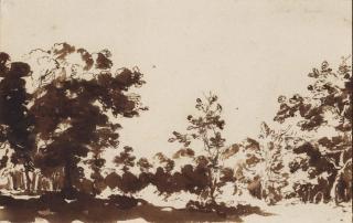 Jan De Bisschop - View of the woods at The Hague