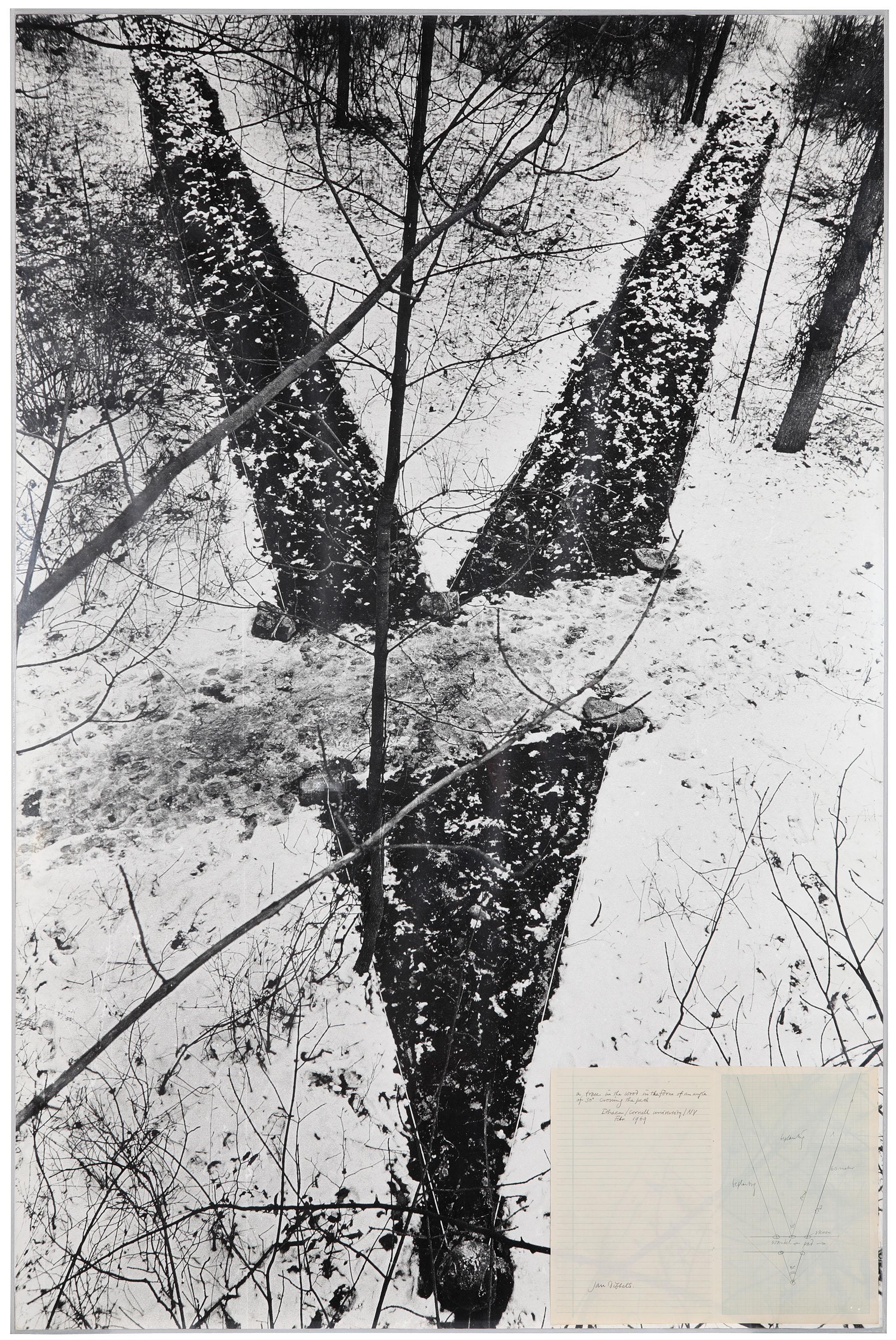 Jan Dibbets - A Trace in the Wood in the Form of an Angle of 30° - Crossing the Path