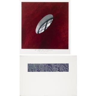 Jan Dibbets - Dutch St. Gallen Raam Op Rubensrood; Struiken