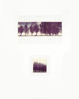 Jan Dibbets - Untitled