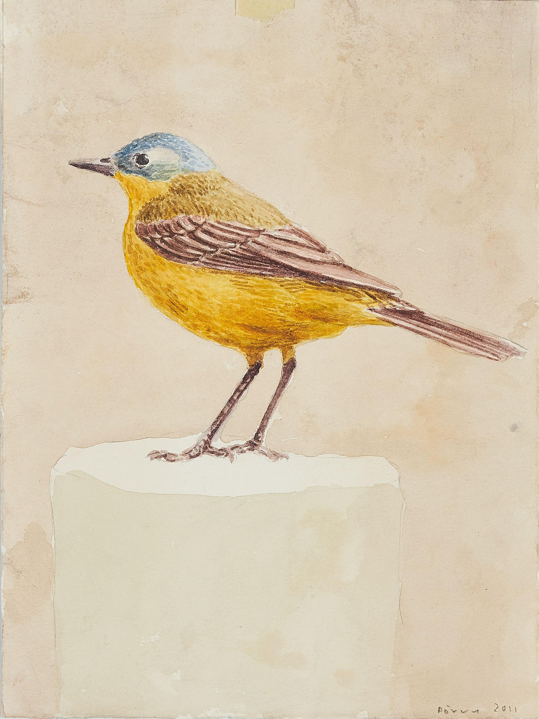 Jan Dörre - Kuhstelze.