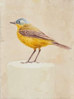 Jan Dörre - Kuhstelze.