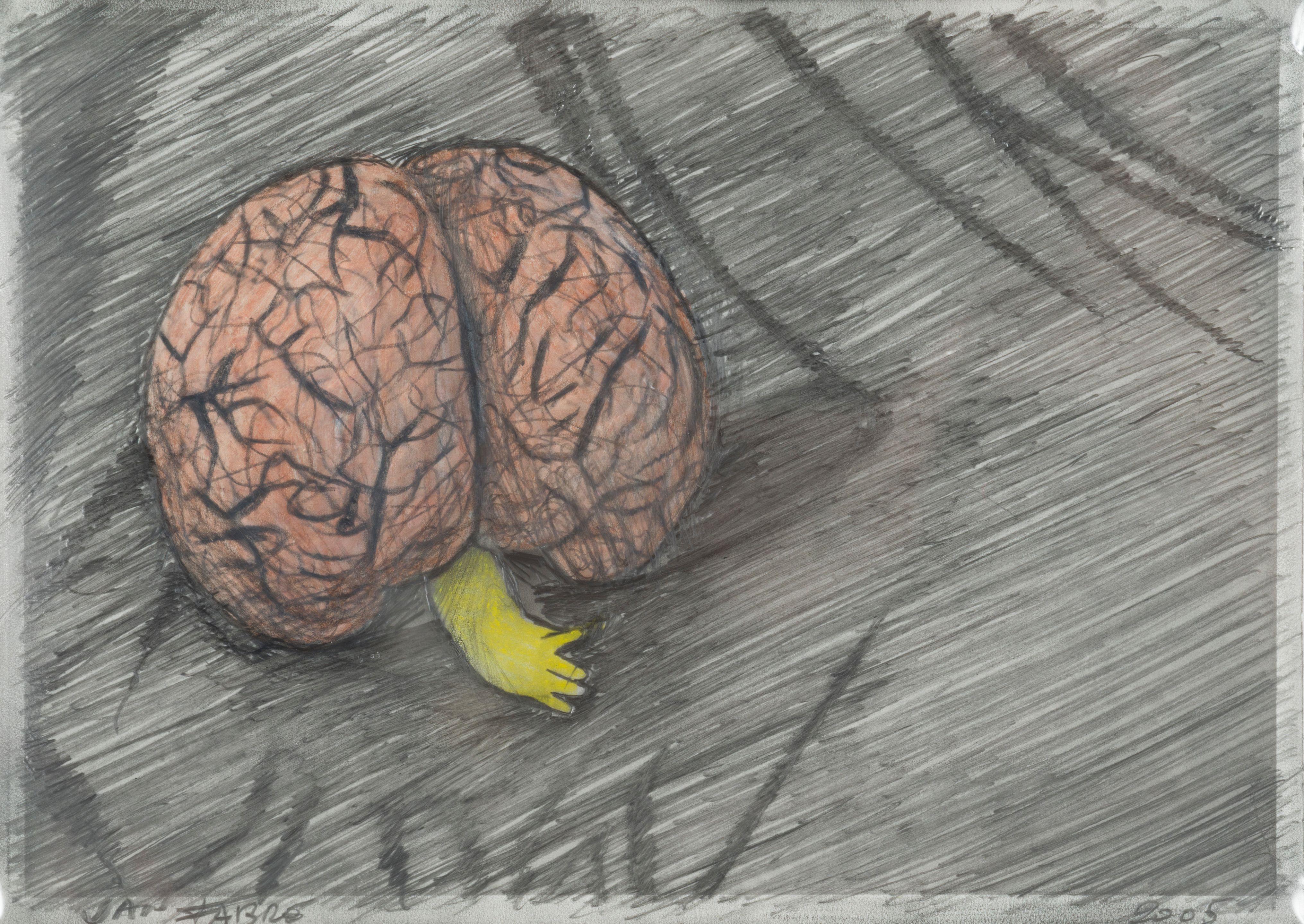 Jan Fabre - A Walnut with Extension