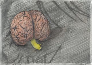 Jan Fabre - A Walnut with Extension