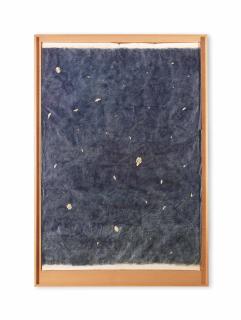 Jan Fabre - De Symmetrie In De Chaos Ii