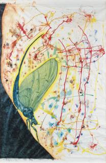 Jan Fabre - Métamorphose