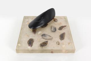 Jan Fabre - Mosselauto (Voiture moule)