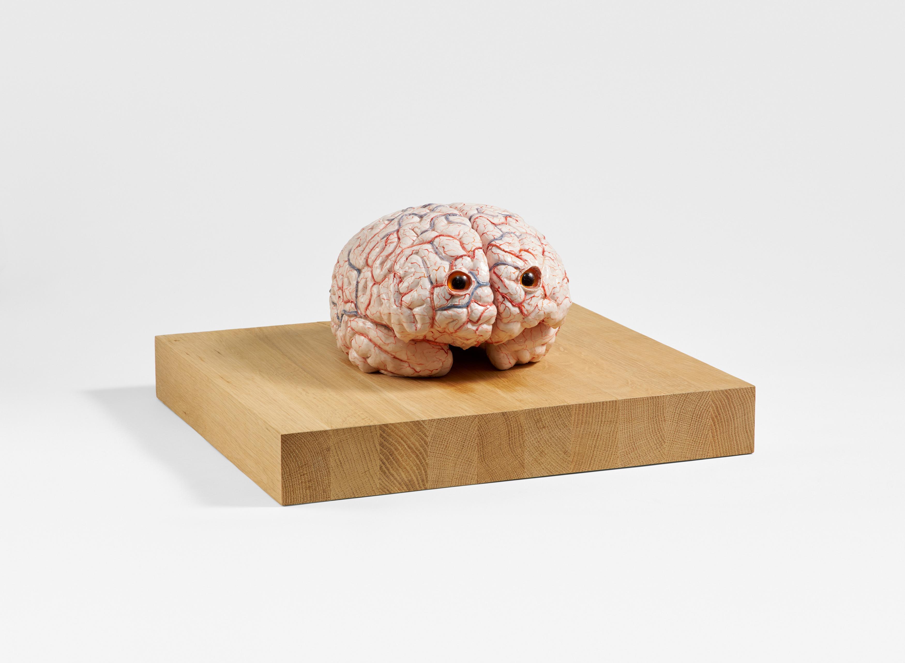 Jan Fabre - The Brain of a Messenger of Death.