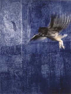 Jan Fabre - Vaak voel ik me verraden door mijn eigen lichaam