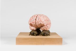 Jan Fabre - Vier orakelsteentjes dragen een onbekende planeet