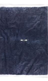 Jan Fabre - Wandelend Blad