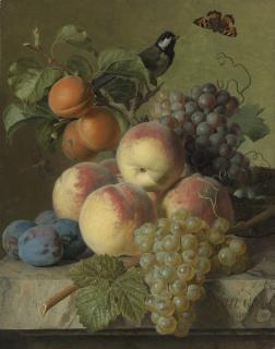 Jan Frans van Dael - Stll Life Of Peaches, Grapes And Plums On A Stone Ledge With A Bird And Butterfly