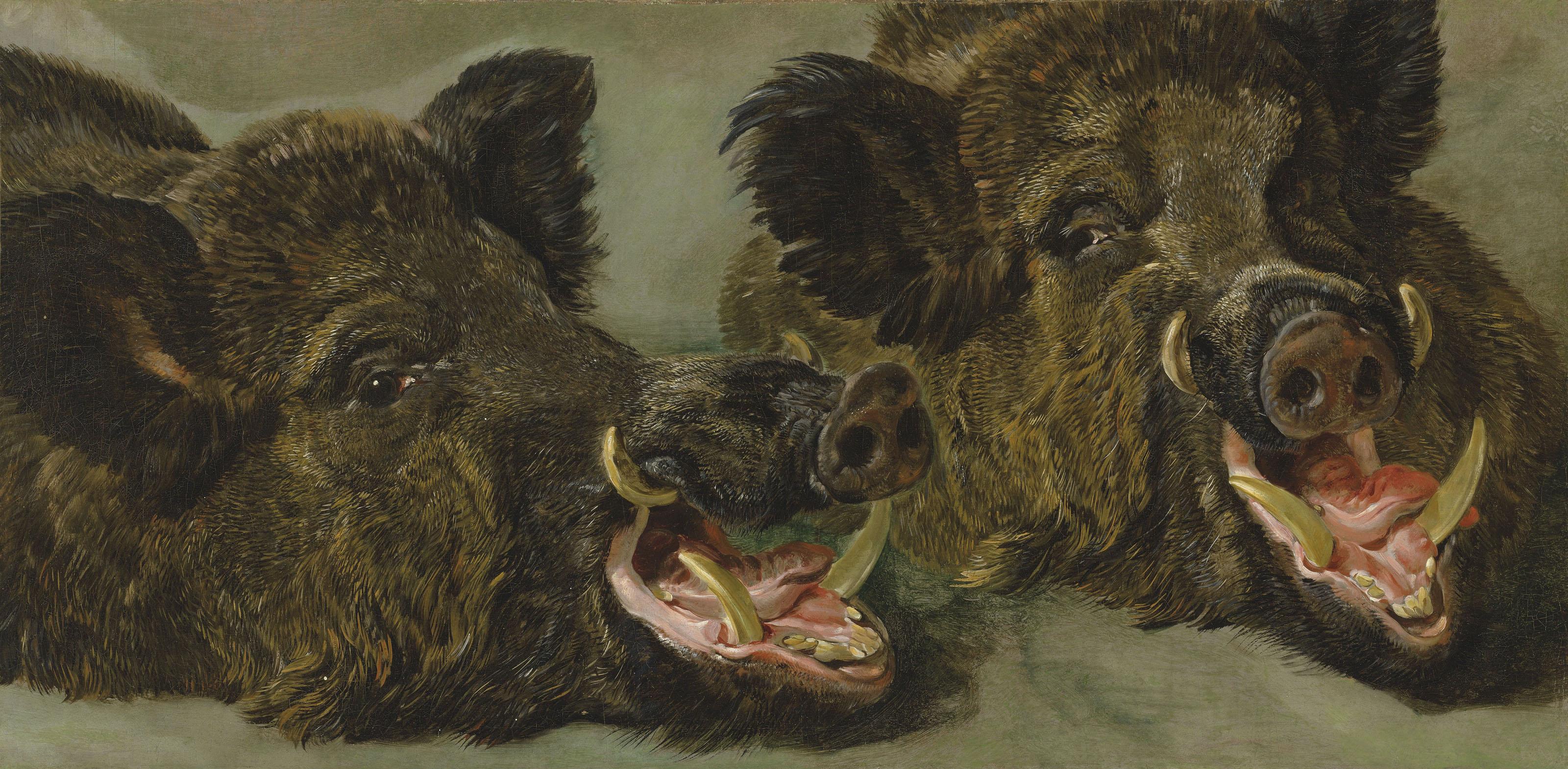 Jan Fyt - Studies of the head of a wild boar