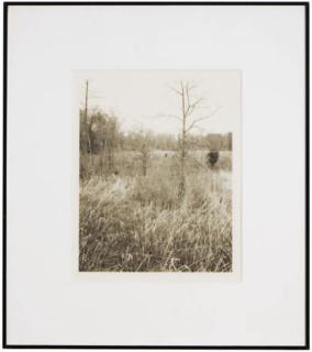 Jan Groover - Plain Fields, 1981