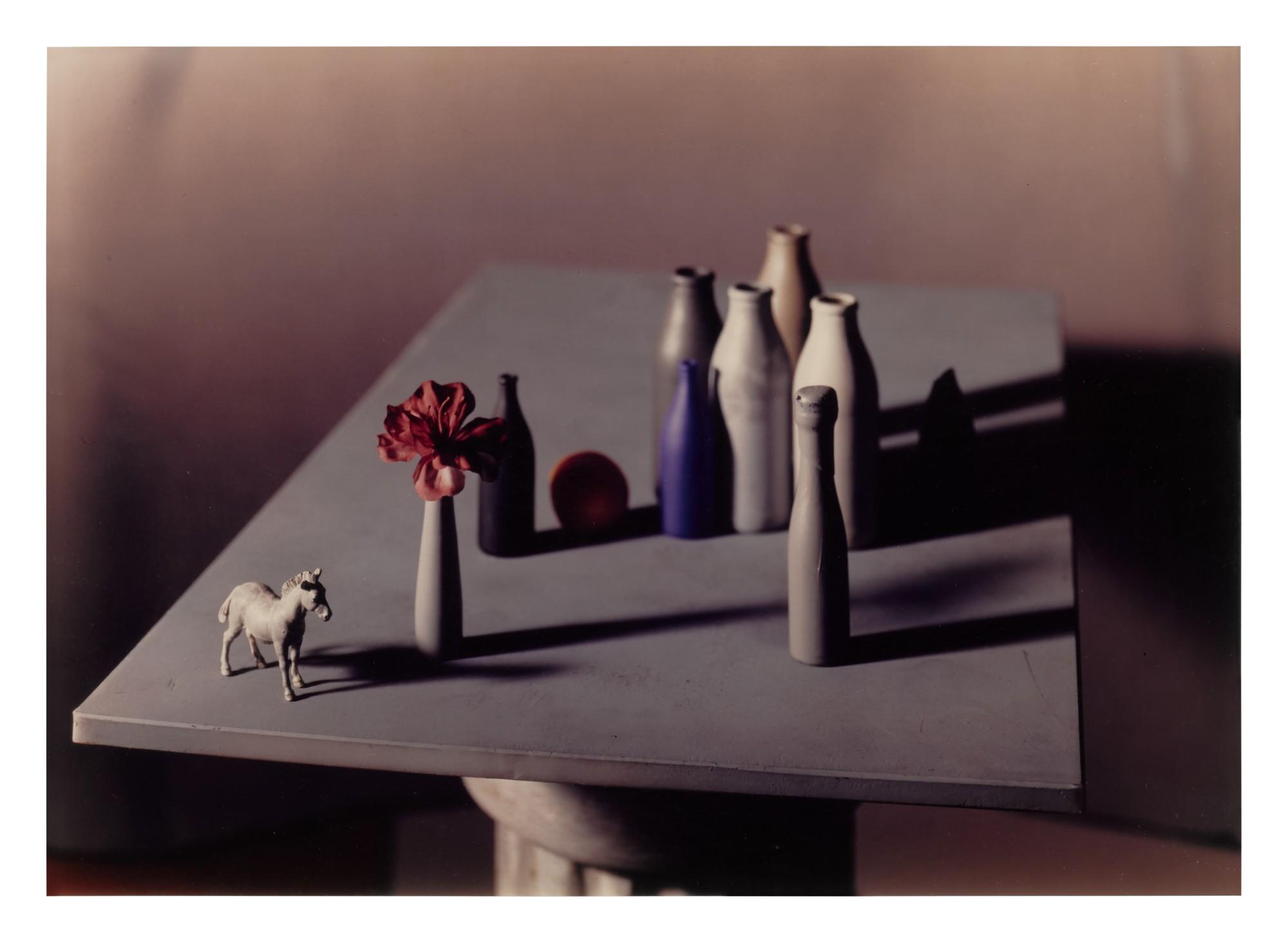 Jan Groover - Untitled (FS 41.2)