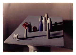 Jan Groover - Untitled (FS 41.2)