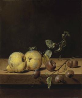 Jan Jansz. Van De Velde - Quinces and medlars on a ledge