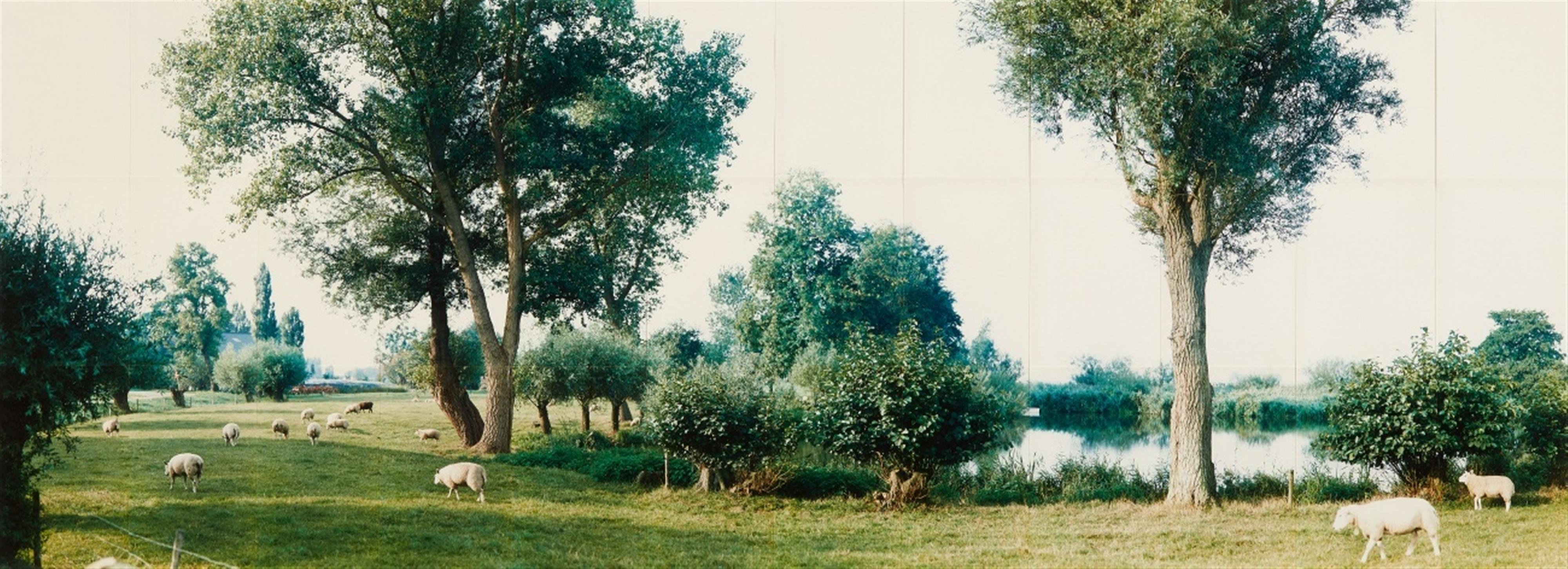 Jan Koster - Kamperveen