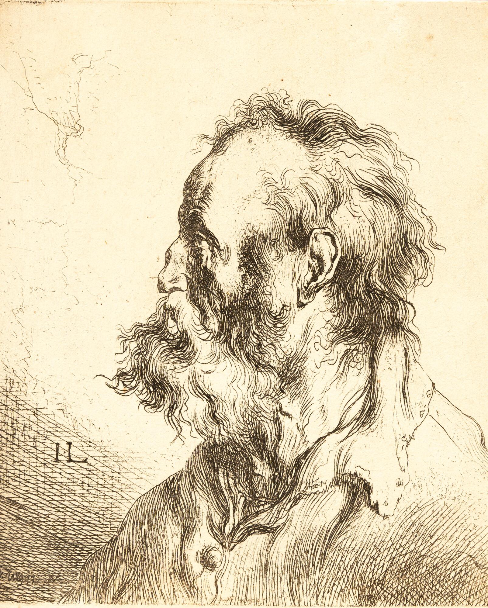 Jan Lievens - Brustbild eines alten bärtigen Mannes